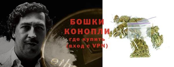 ECSTASY Лагань