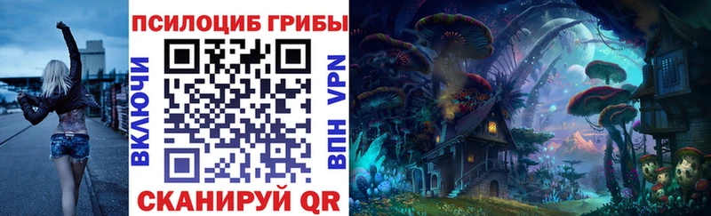 Галлюциногенные грибы MAGIC MUSHROOMS  цена наркотик  Яхрома 